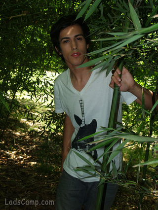 jungles fresco aire lots