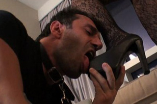 dude leash asked lick