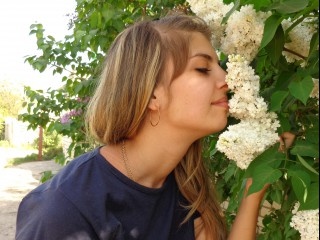 amilia