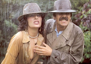 hairy seventies couple sex