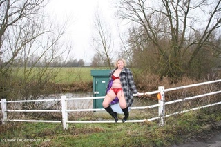 curvy solo barby from