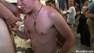 balls, gay, sucking, touching