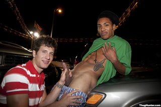 gay