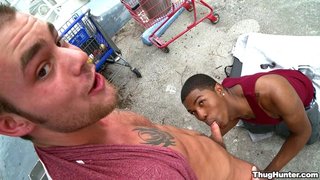 gay