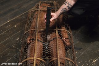 ebony babe racked pegged