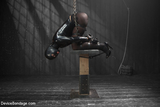 cute damsel tied bound