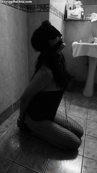 blindfolded gagged slave dog