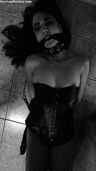 amazing brunette girl corset