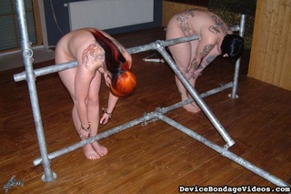 tattooed darlings sweet asses