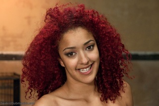 ébano gal rizosa roja