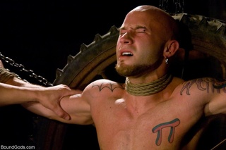 calvo tatuado esclava gay