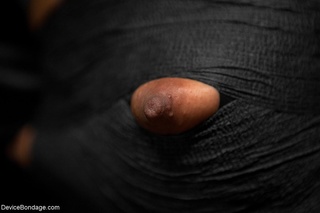 sophisticated black beautys legs
