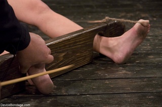 calientes perra amo bastinado
