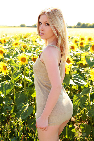 sunflowers blondes warm milk