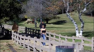 wandering park tramp black