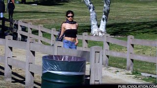 sporting shades black tube