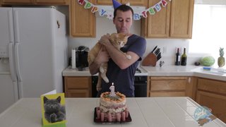 birthday, food, hardcore, party