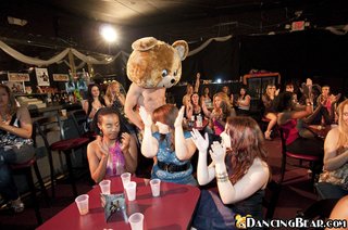 bear, handjob, party