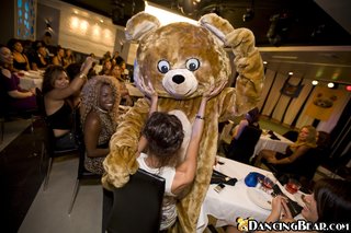 bear, party, slut, wild